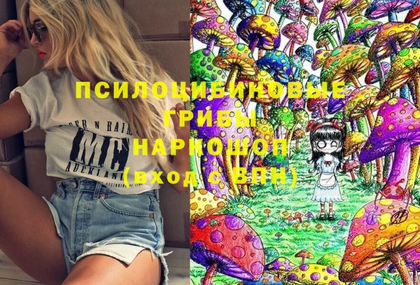 дживик Абинск
