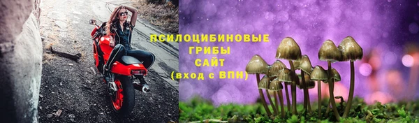 дживик Абинск