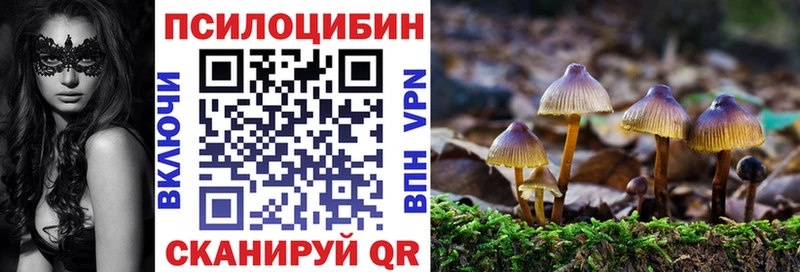 наркошоп Челябинск Галлюциногенные грибы мухоморы