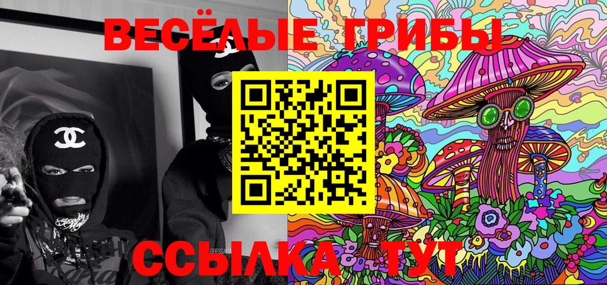 Псилоцибиновые грибы Psilocybe  Вход с VPN  Челябинск  даркнет сайт  Псилоцибиновые грибы прущие грибы 